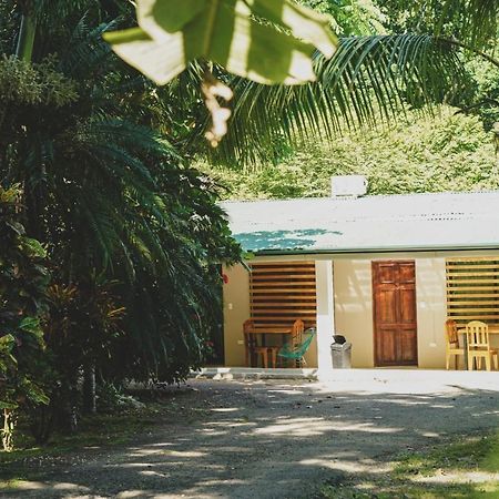 Hostel 7, Casa De Gingi Playa Santa Teresa  Екстер'єр фото